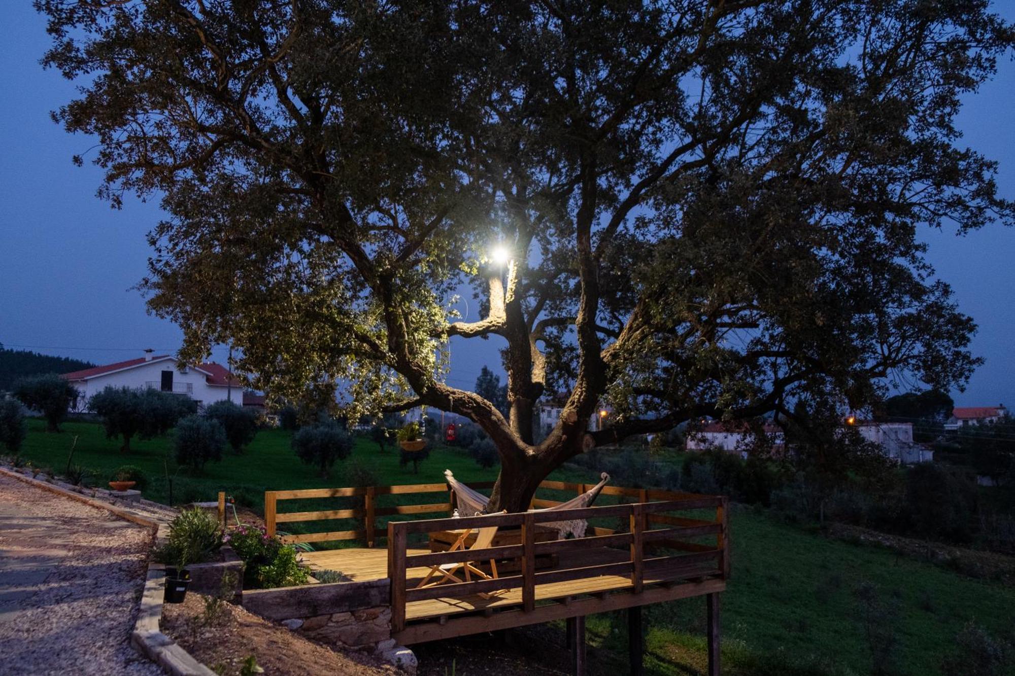 פנקובה Quinta Do Esteval מראה חיצוני תמונה